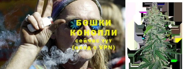 твердый Краснослободск