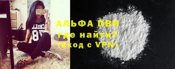 твердый Краснослободск