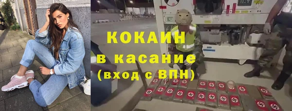твердый Краснослободск
