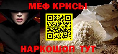 стафф Кингисепп