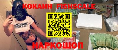 стафф Кингисепп