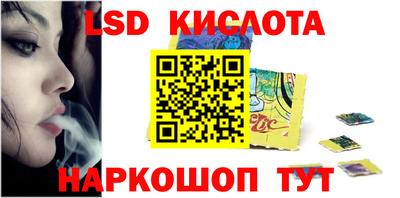 стафф Кингисепп