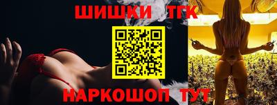 стафф Кингисепп