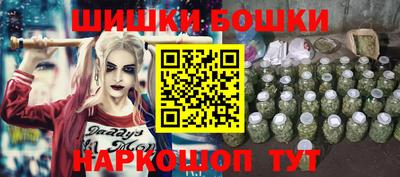 стафф Кингисепп