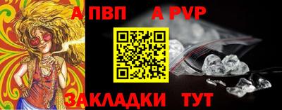 стафф Кингисепп
