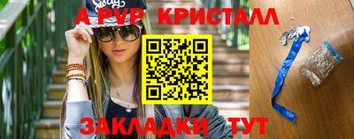 стафф Кингисепп
