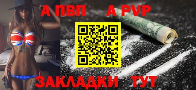 стафф Кингисепп