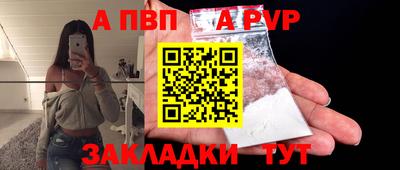 стафф Кингисепп