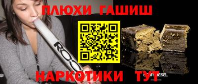 стафф Кингисепп