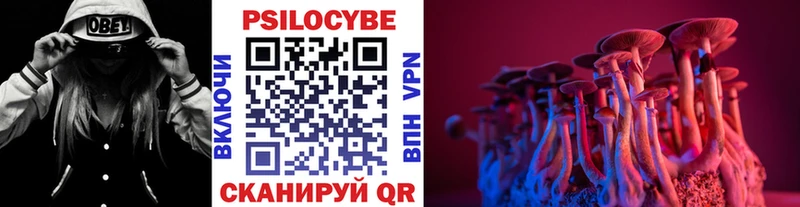 Галлюциногенные грибы прущие грибы  Элиста 