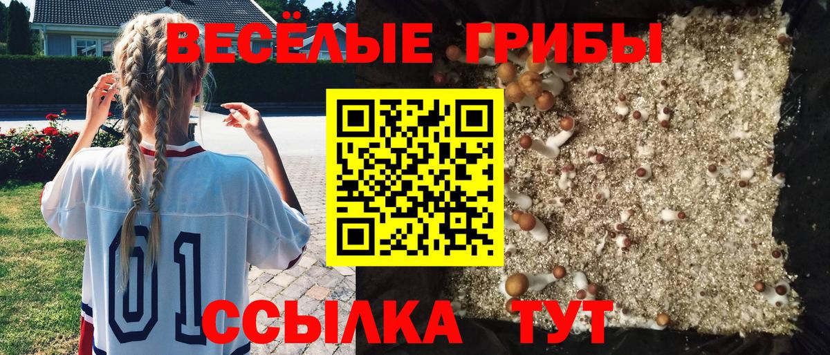 Галлюциногенные грибы прущие грибы  Вход с VPN  Галлюциногенные грибы ЛСД  купить   Элиста 