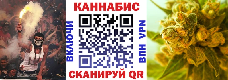 darknet телеграм  Элиста  Конопля Amnesia  где можно купить   kraken  